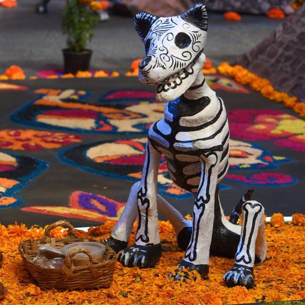 Ofrenda Día de Muertos Mascotas. Cuándo se pone la Ofrenda para las Mascotas y qué día la visitan