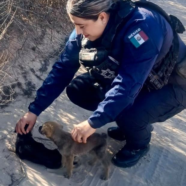 Oficiales de la Policía Campestre resguardando a los dos cachorros rescatados en El Porvenir