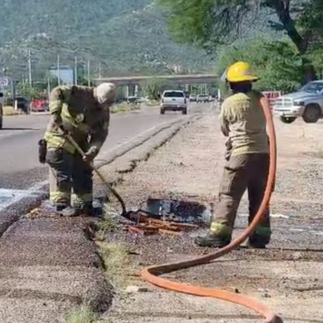 Dos Personas Resultan Lesionadas por Picaduras de Abejas en Hermosillo