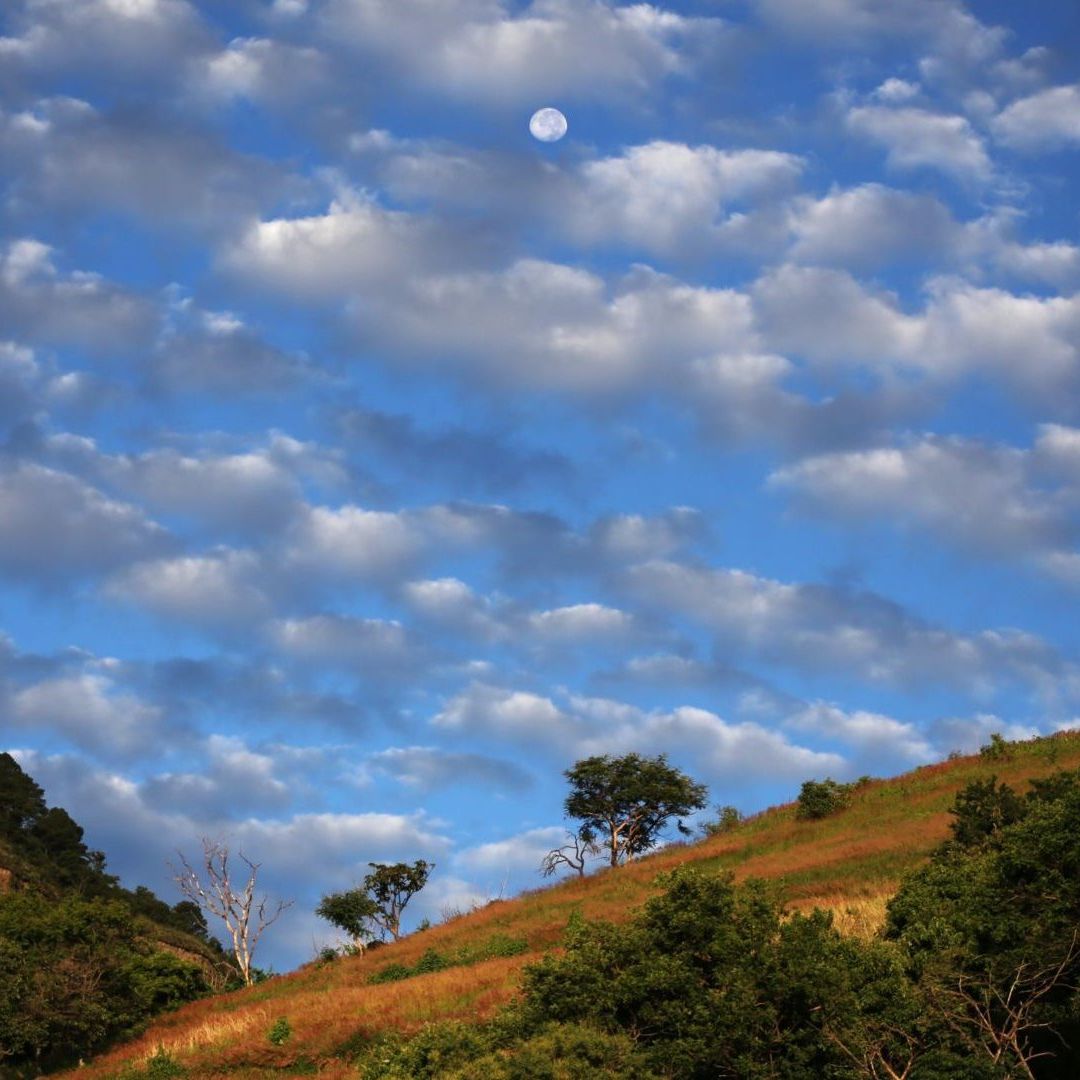 Cielo Azul en México. Por Qué el Cielo es Azul según la NASA.