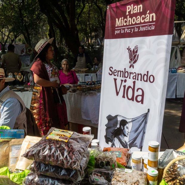 Pago Sembrando Vida Noviembre 2026. Cuándo cae depósito en Tarjeta Bienestar