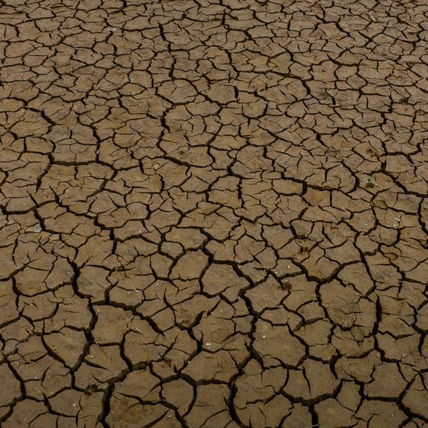 La sequía ocurre cuando las precipitaciones disminuyen de forma importante. Foto: AP