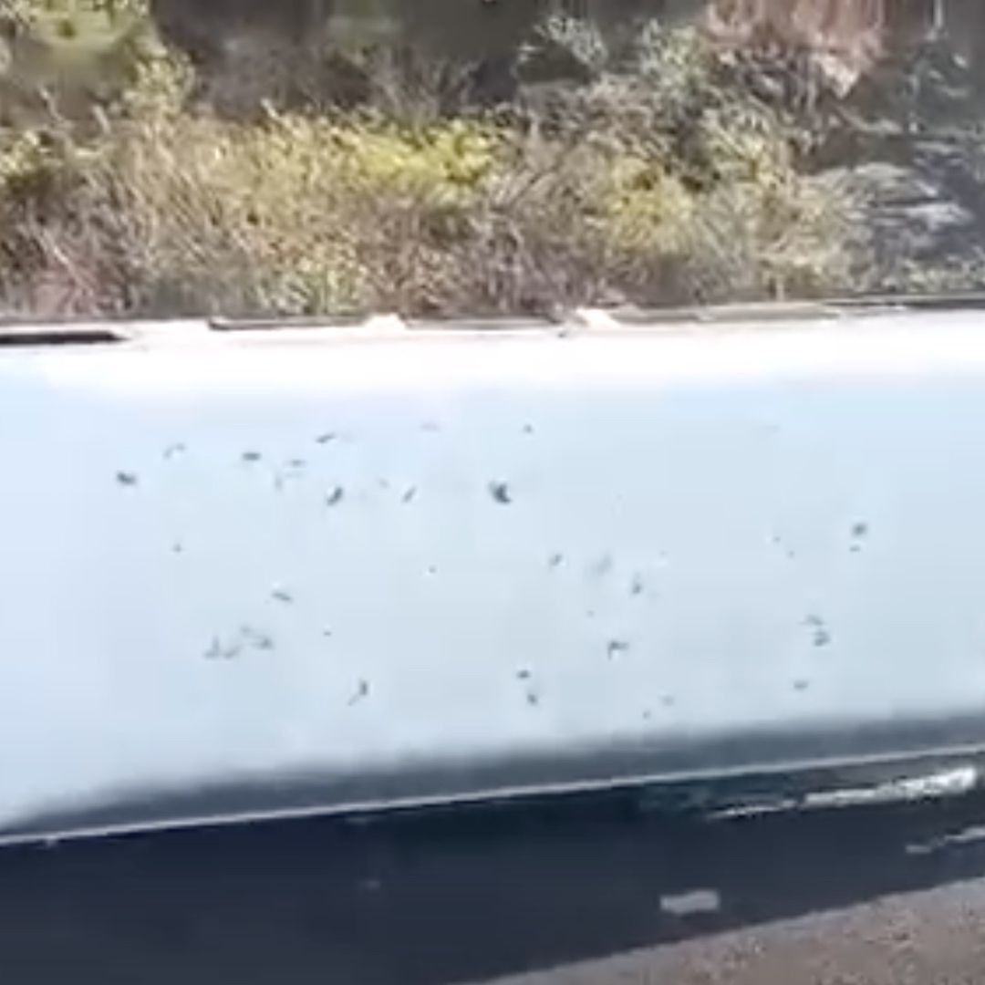 Accidente de transporte público deja siete lesionados en Puebla.