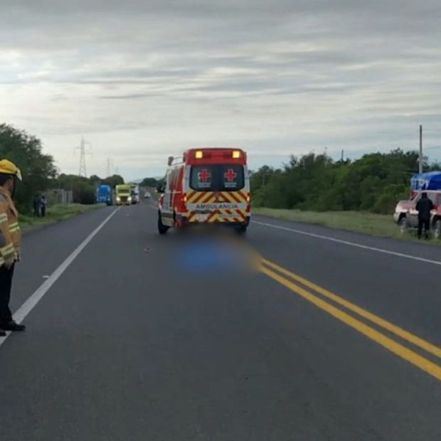 Adulto mayor atropellado en Carretera Nacional en Linares