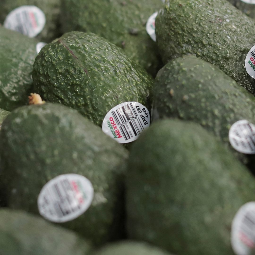 Violencia y Aguacate. Las Ocasiones que EUA ha Suspendido su Importación desde México