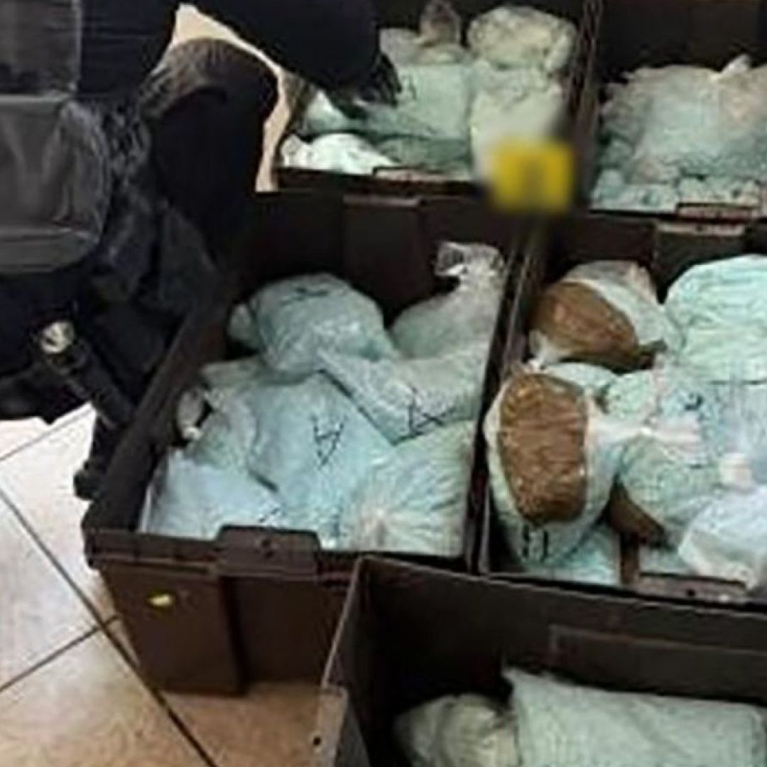 Aseguramiento de pastillas de fentanilo durante operativo de la Defensa y la DEA en agosto 2026