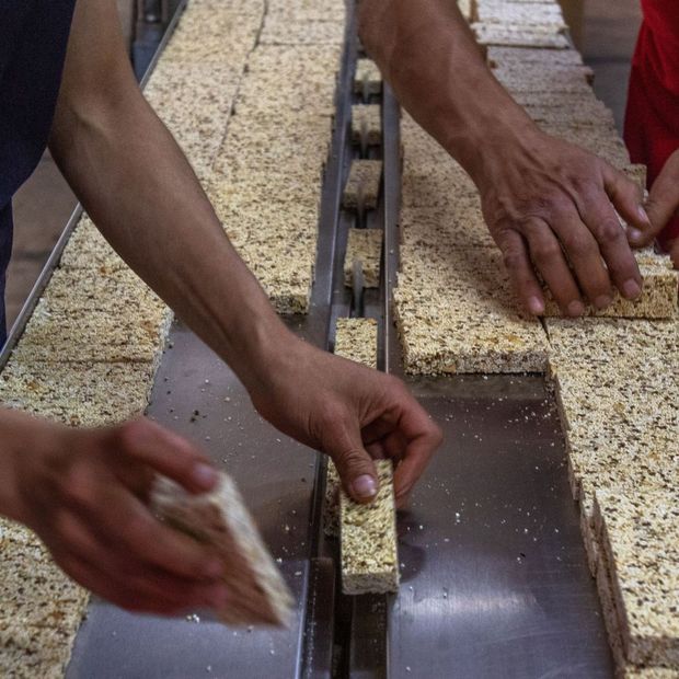 En Xochimilco y Tláhuac se cosechan decenas de toneladas de amaranto, el cual es utilizado para hacer alimentos como las barras de amaranto. Foto: Cuartoscuro | Archivo