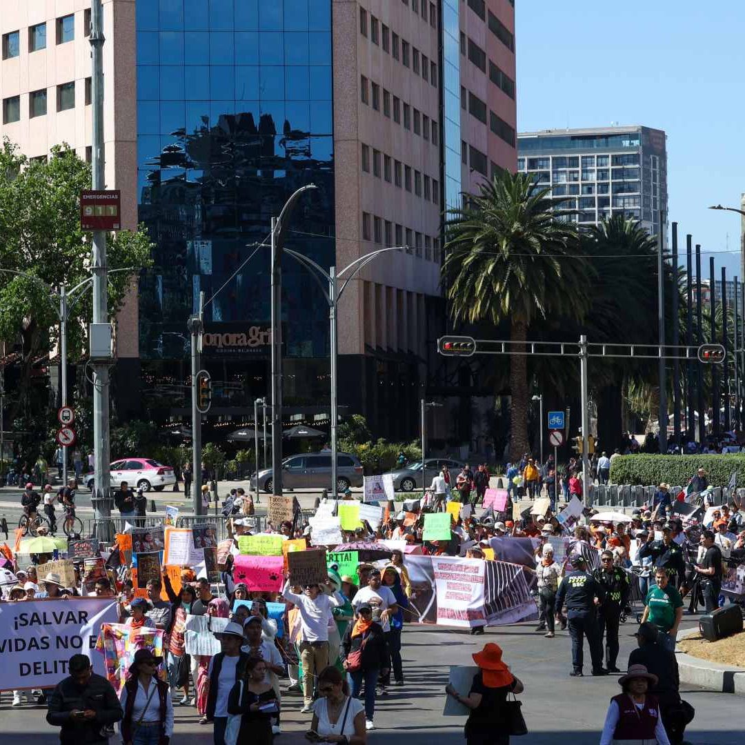 Protesta de animalistas el 25 de enero 2026 en CDMX