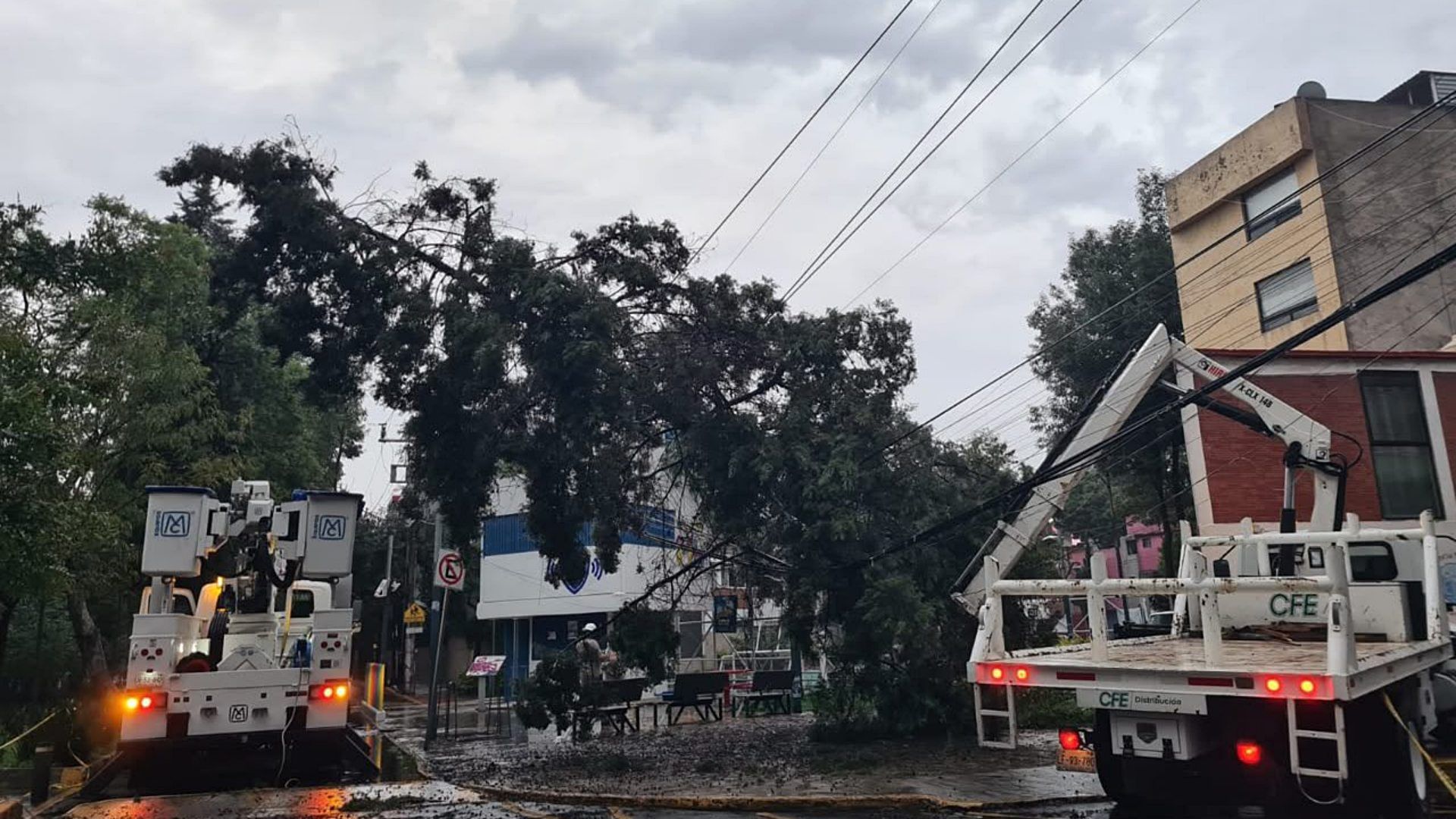 CFE trabaja en restablecimiento de luz ante apagón en CDMX. Foto: @CFEmx