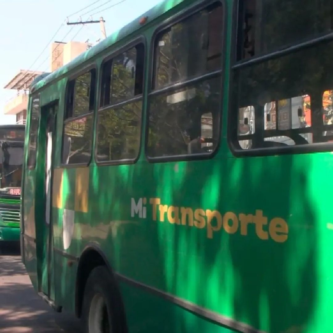 Camiones del transporte público