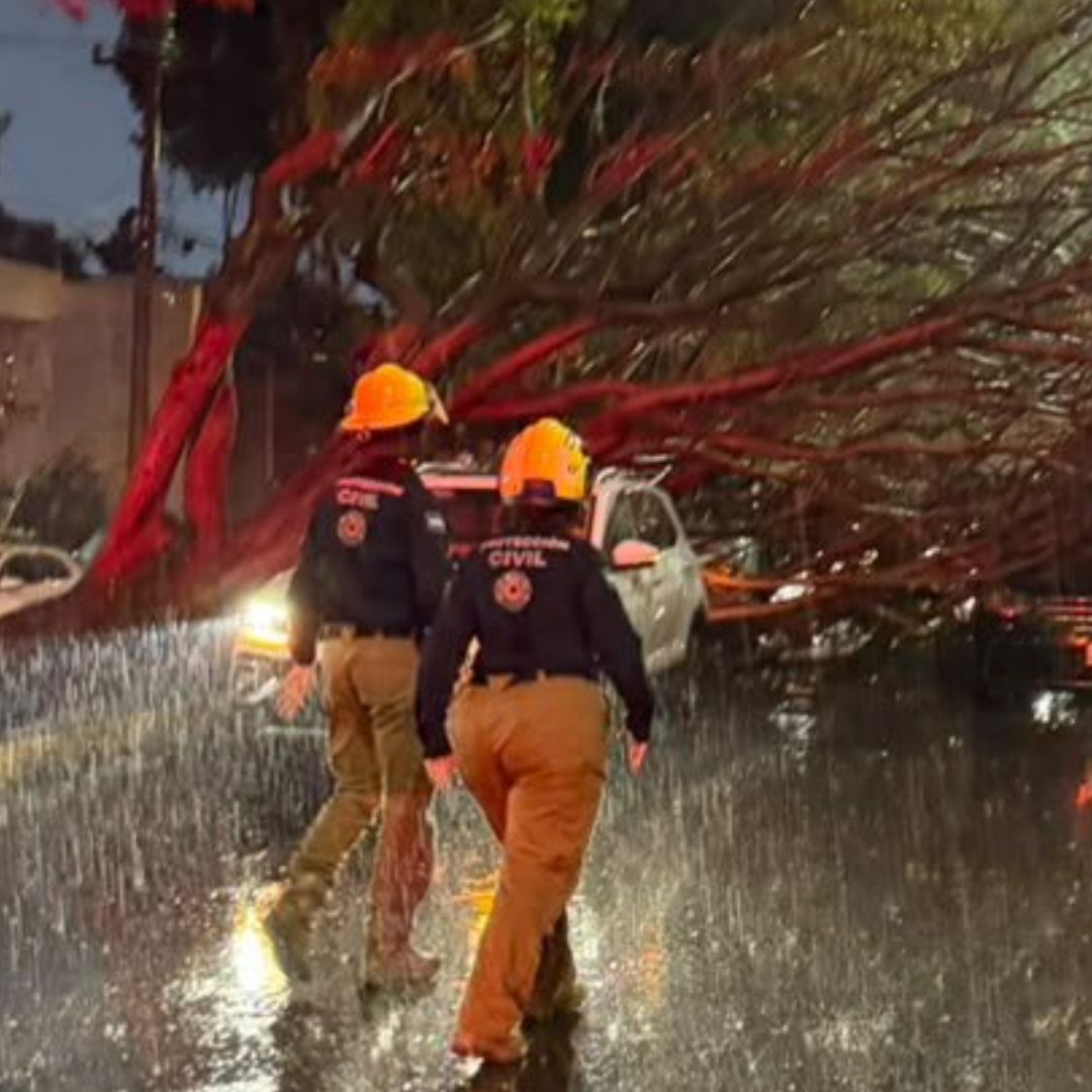 Lluvia Tormenta Eléctrica Árbol Caído Camioneta Varada Inundación Cuautlancingo Puebla