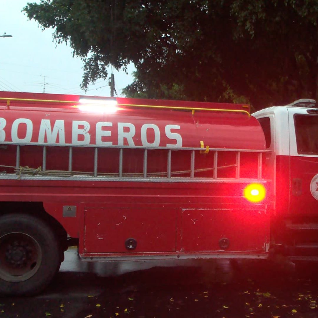 Guadalajara fue el municipio con más árboles caídos