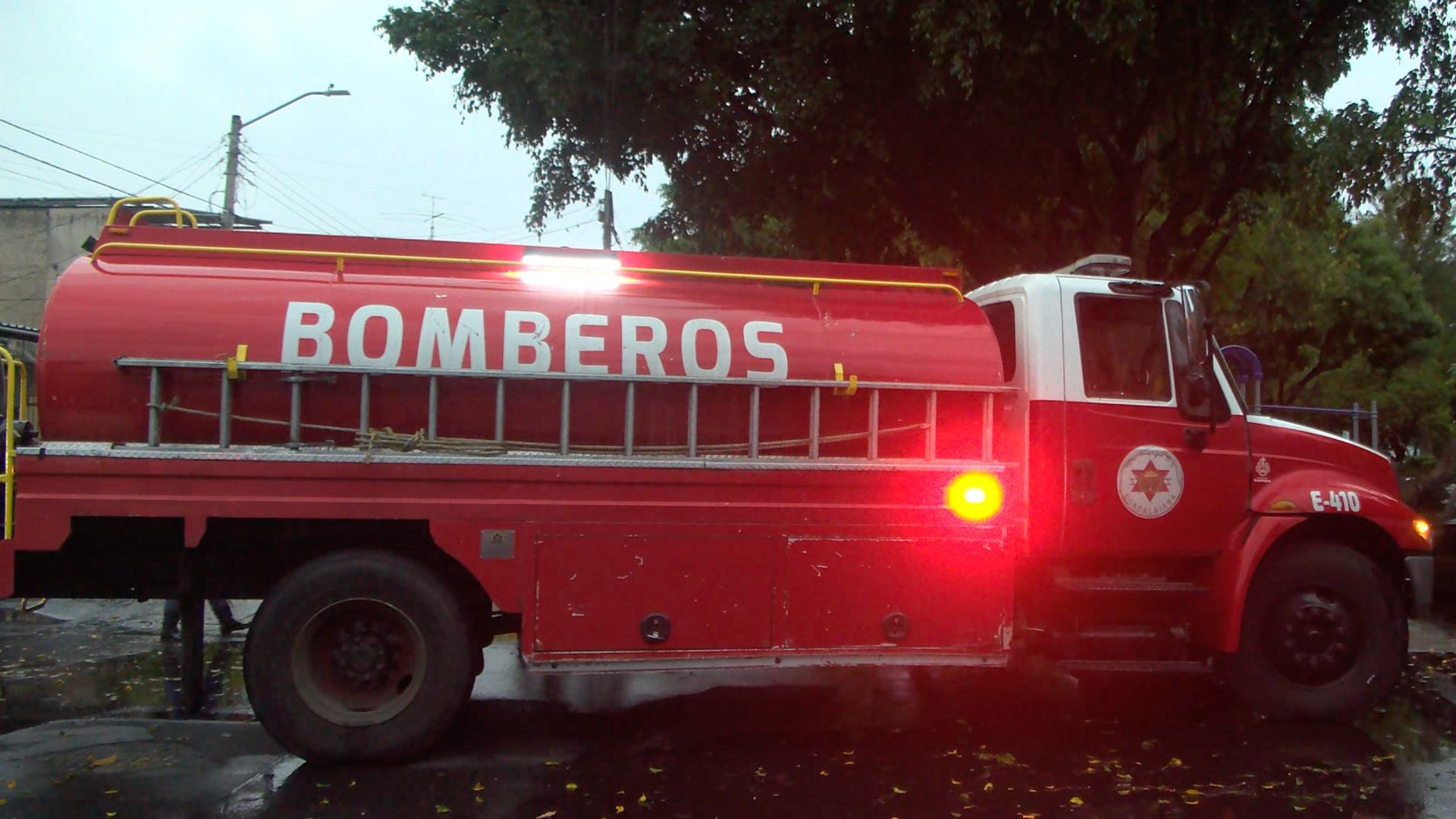 Guadalajara fue el municipio con más árboles caídos