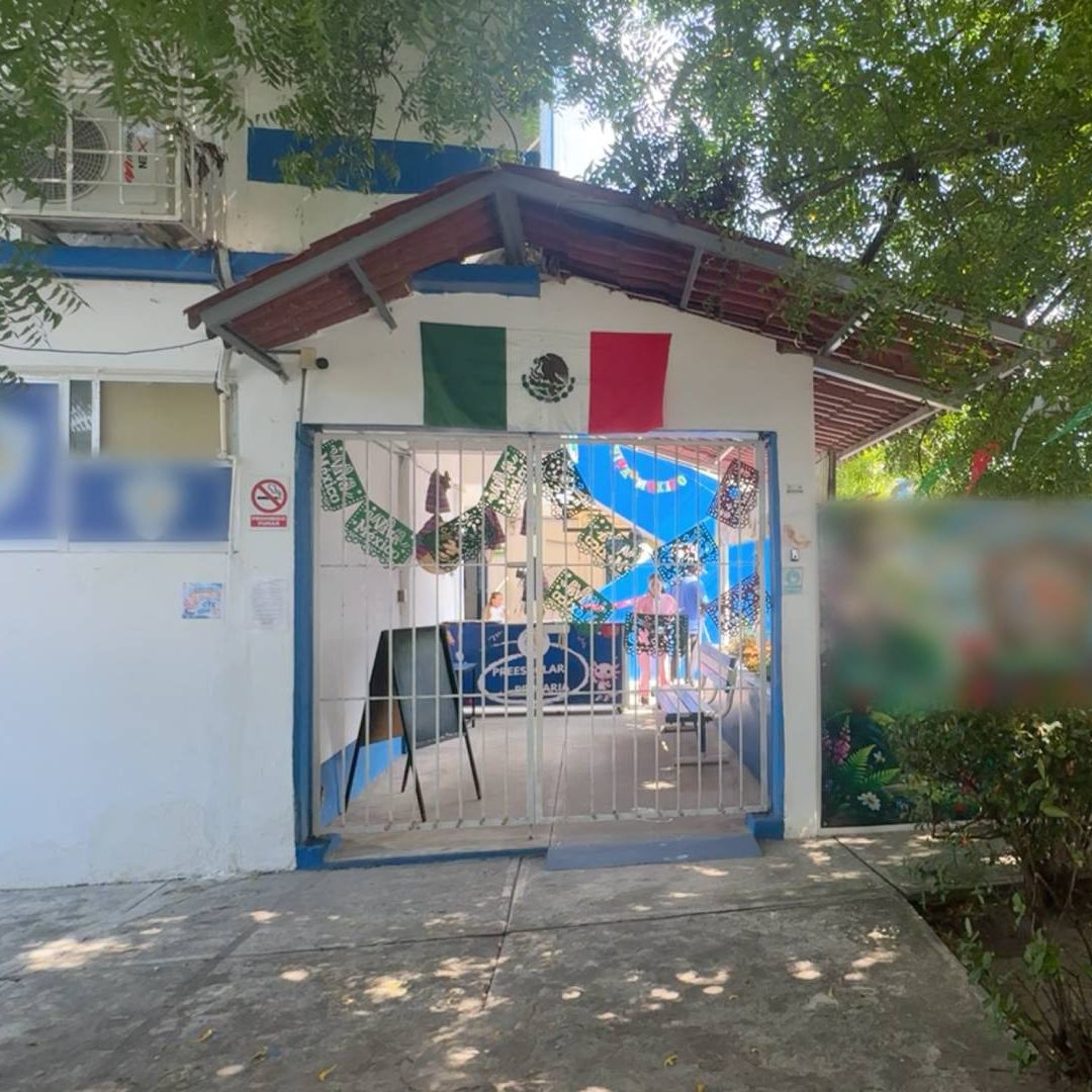 Ardilla Ataca con Mordidas a Estudiantes y Personal de una Primaria en Veracruz