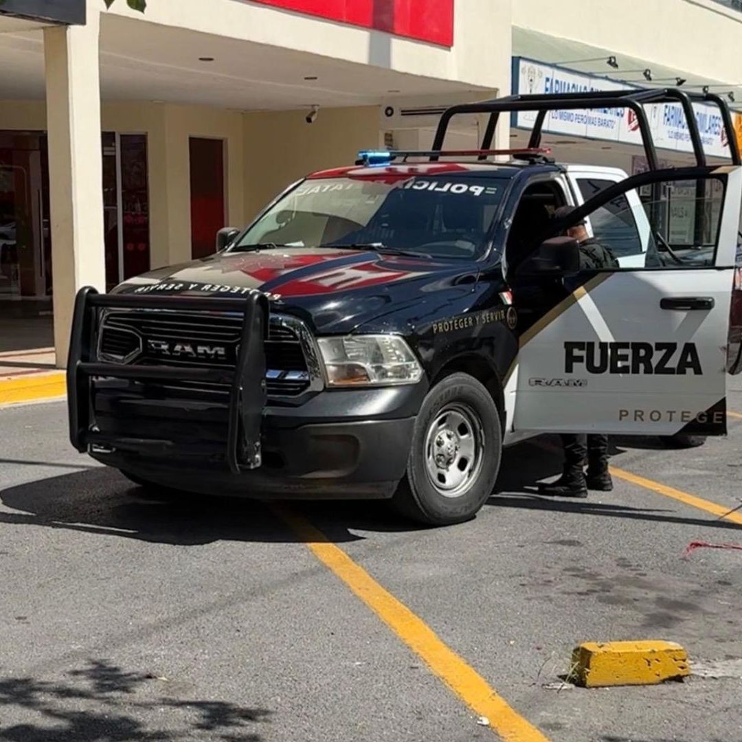 Fuerza Civil