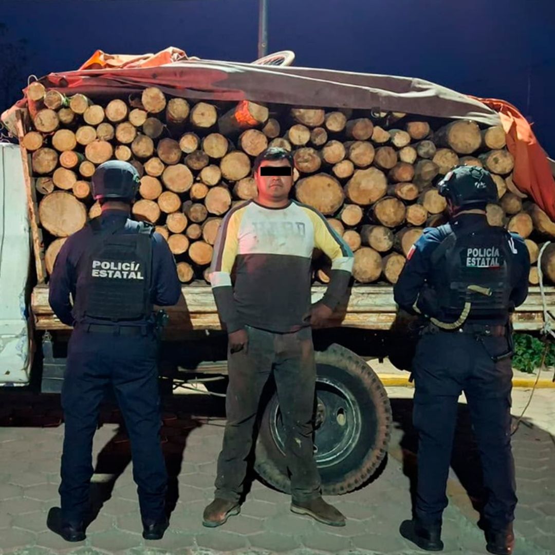 Cuatro Detenidos 300 Troncos Pino 131 Costales Carbón Asegurados Oriental Tlatlauquitepec Puebla