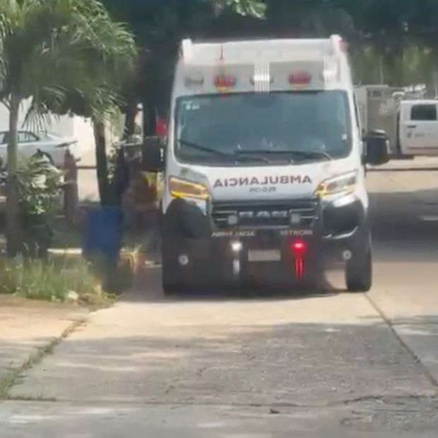 Ataque de Abejas Deja Siete Lesionados en Coatzacoalcos; Una Es Reportada Grave