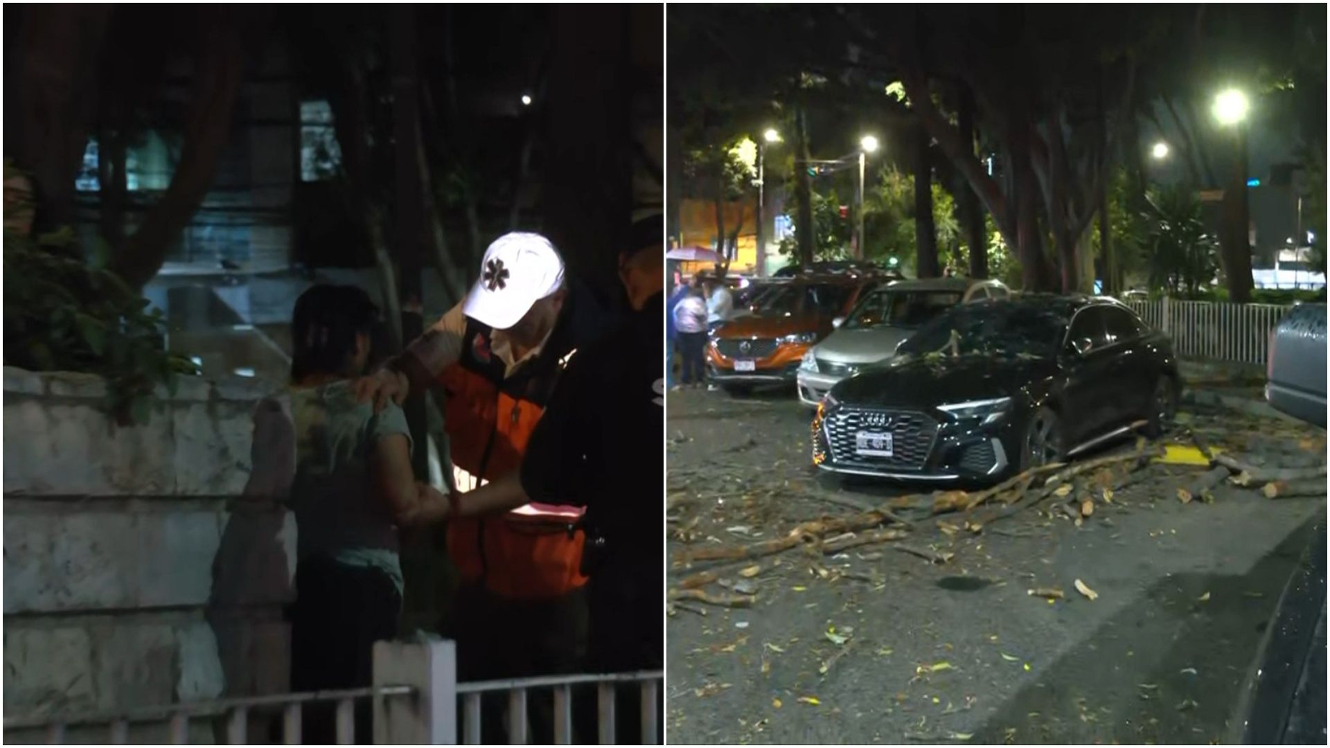 Árbol cae sobre auto en CDMX