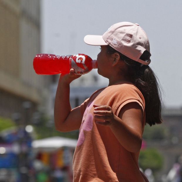 Conoce qué becas y apoyos pueden solicitar las niñas en México