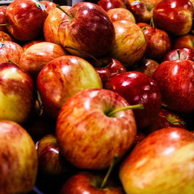 Manzana Gala