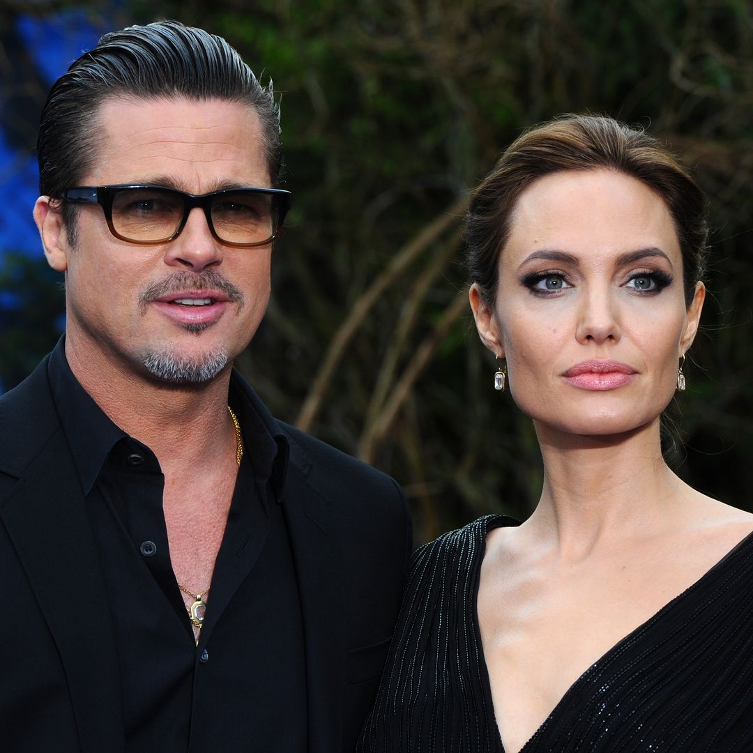 brad-pitt-exige-registros-financieros-angelina-jolie-miraval
