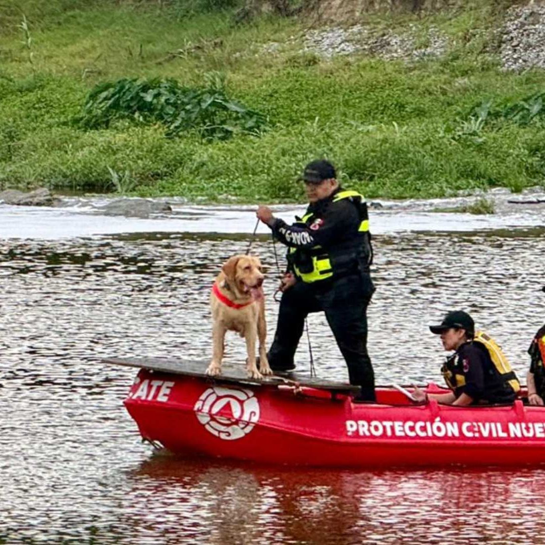 Operativo de búsqueda en río