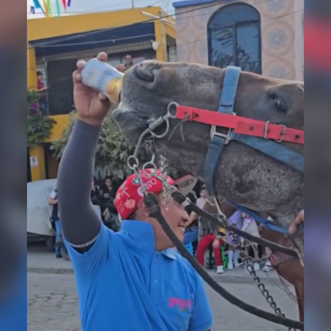 Captan a hombre dándole cerveza a un caballo en Puebla.
