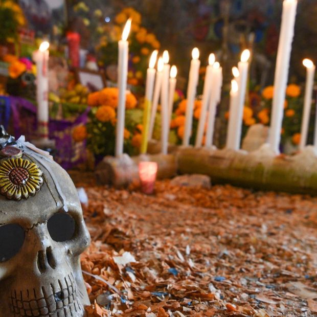 Día de Muertos 2026: ¿Por Qué se Pone un Camino de Cempasúchil que Guía a las Almas?