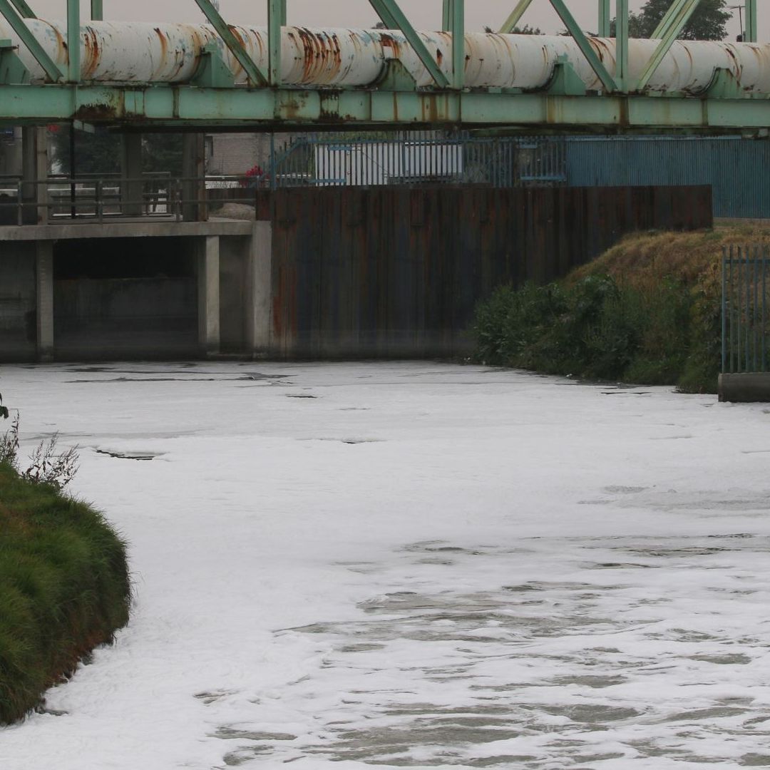 canal de la compañía