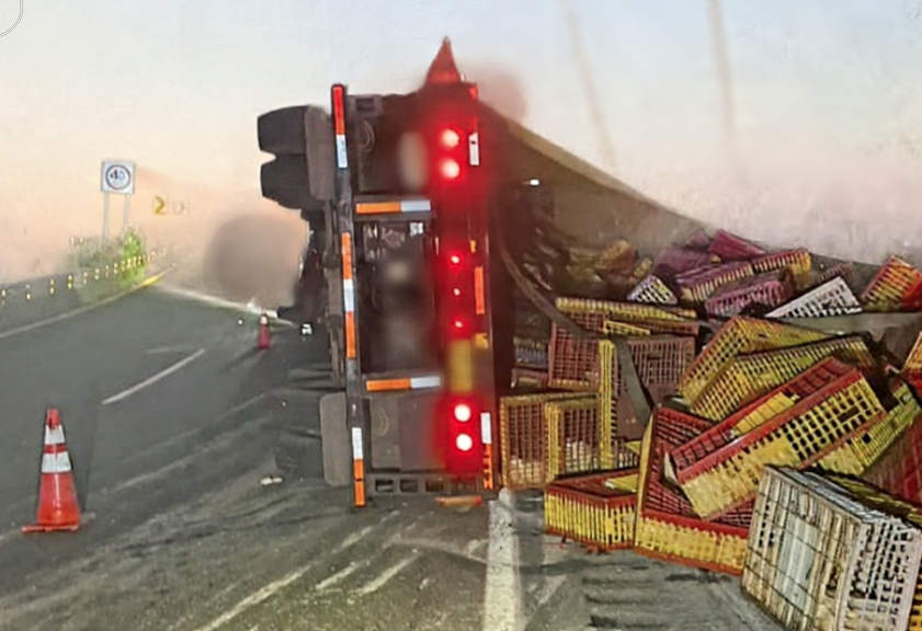 Accidente en carretera hoy.