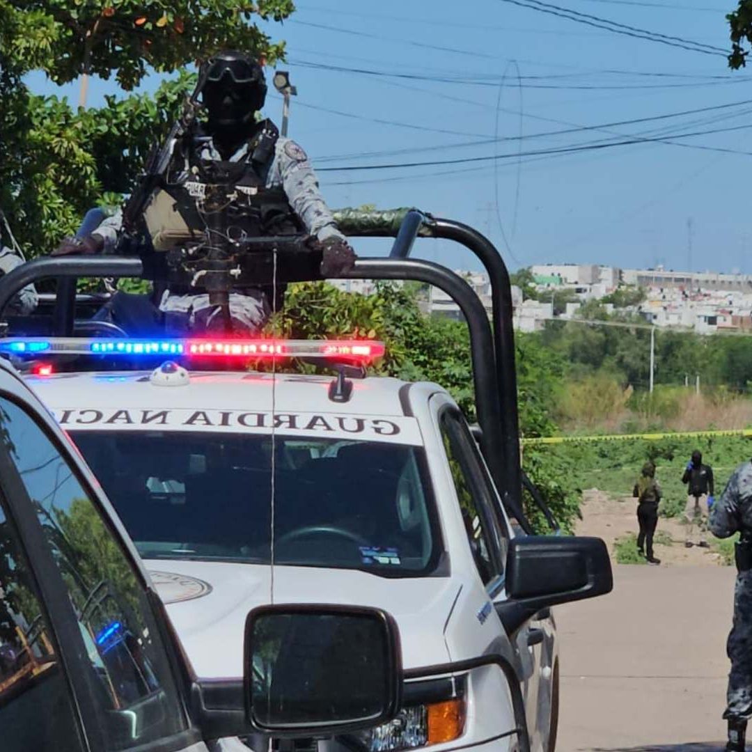 Descubren Armas y 59 mil Dosis de Drogas en Tempoal, Veracruz