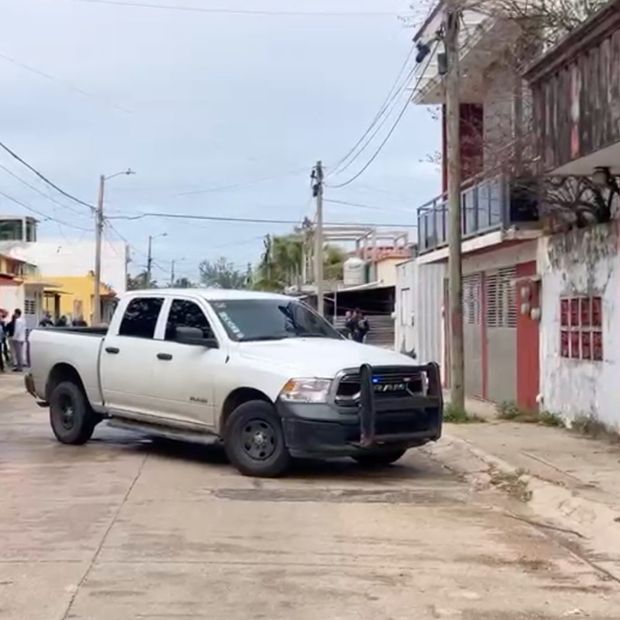 Descubren presunta marihuana en cateo en Las Gaviotas, Coatzacoalcos
