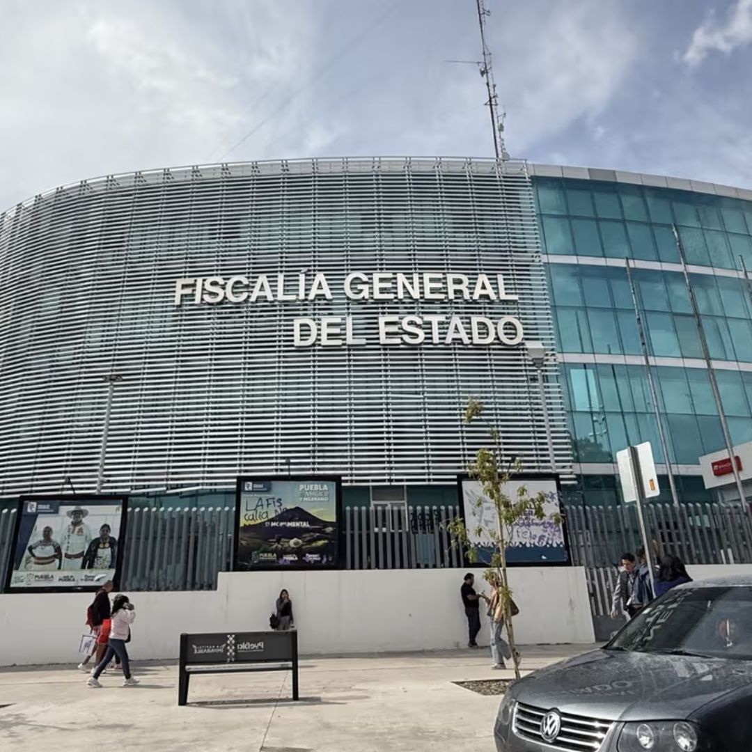 Asegurado Inmueble Cultivo de Marihuana en Colonia El Salvador de Puebla
