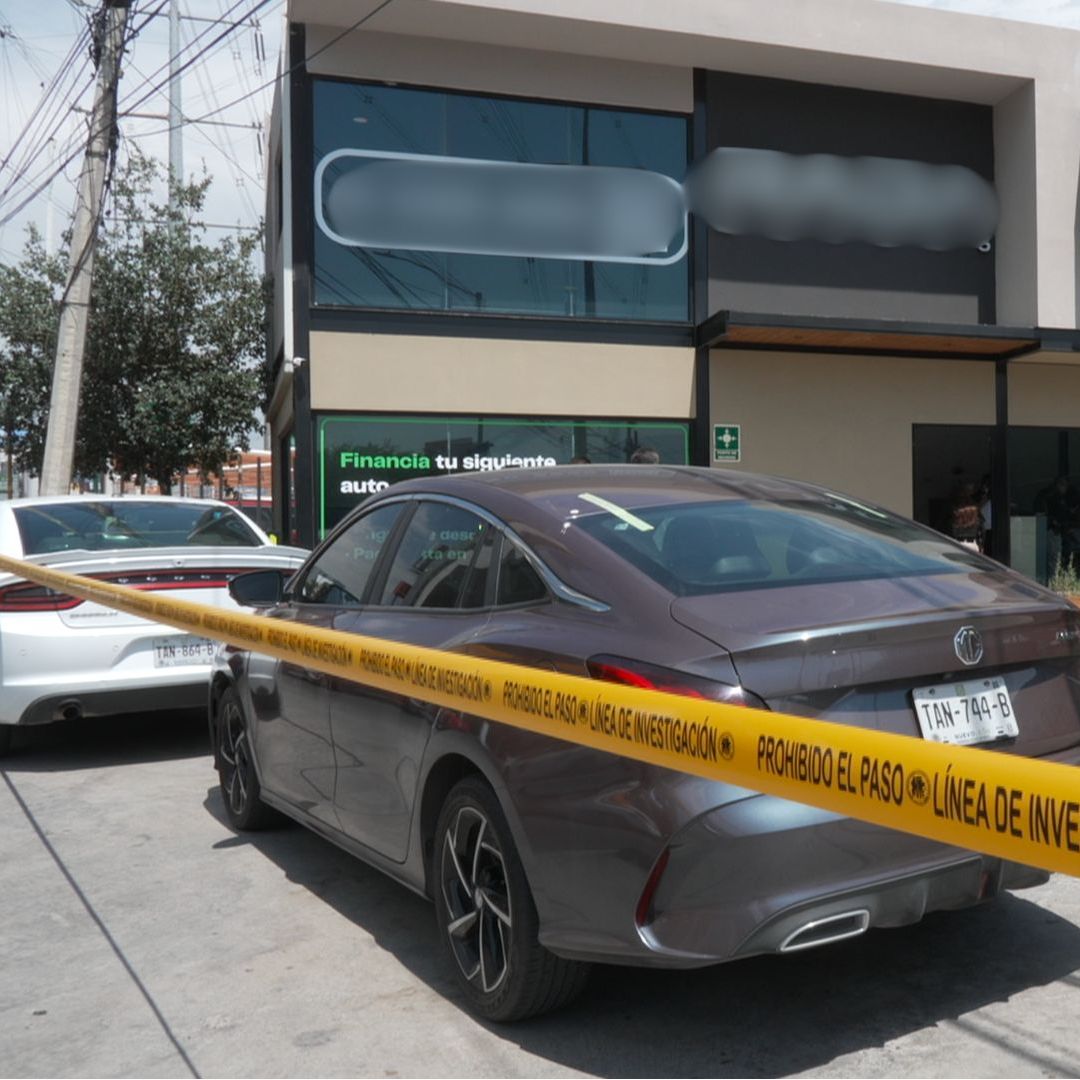 Cateo en lote de autos