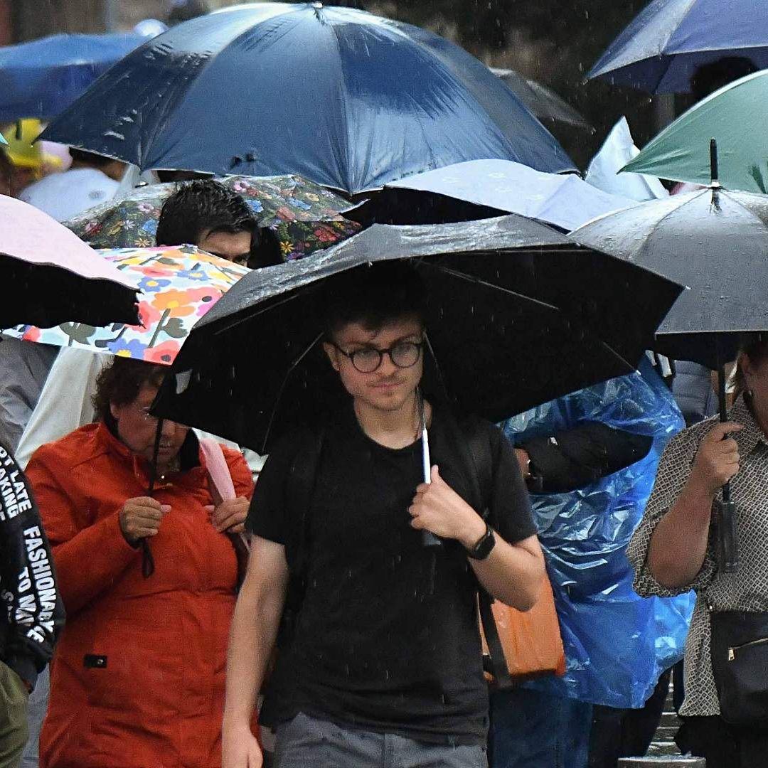 Grupo de personas usa paraguas para protegerse de la lluvias en CDMX el 14 de junio de 2026. Foto: Cuartoscuro | Archivo