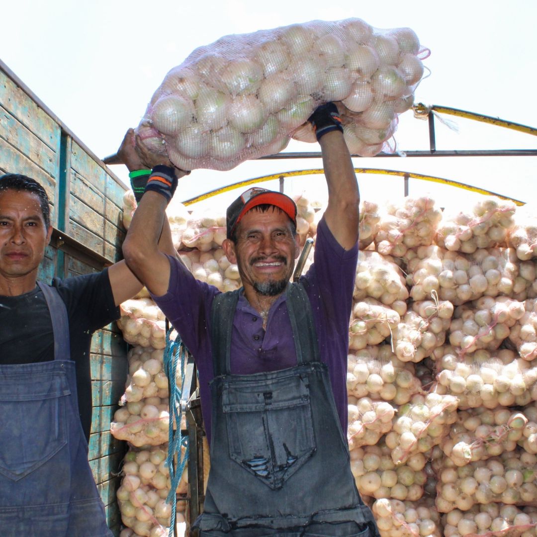 Chile Serrano y Cebolla por las Nubes, Drástico Aumento de 2025 a 2026, Inegi