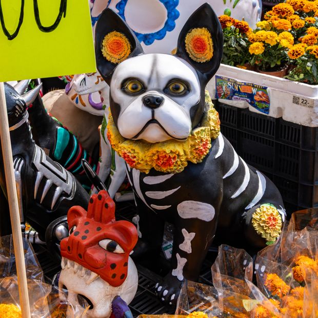 Mercados venden productos para colocar en las ofrendas de Día de Muertos 2026