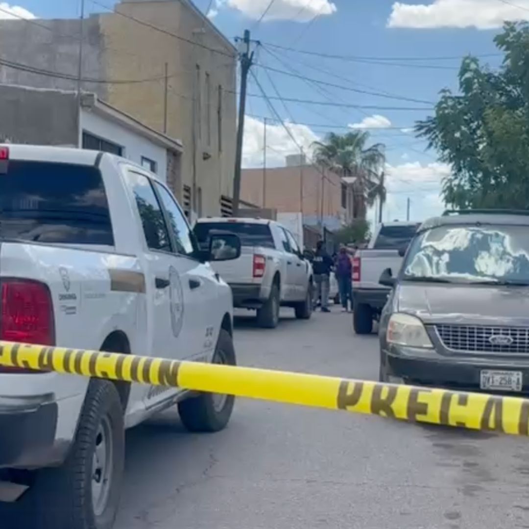 Cateo en la Col. Chulavista