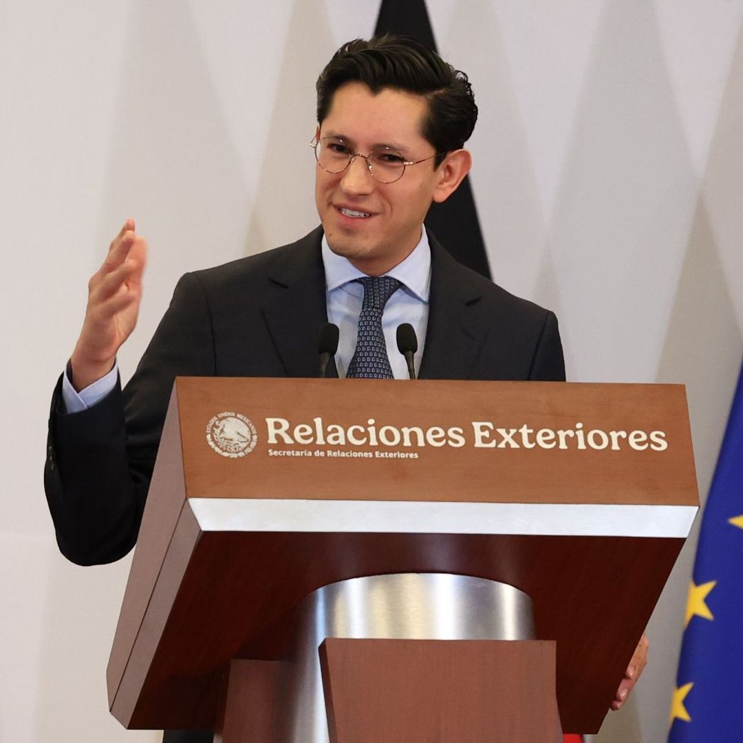Roberto Velasco, titular de la SRE