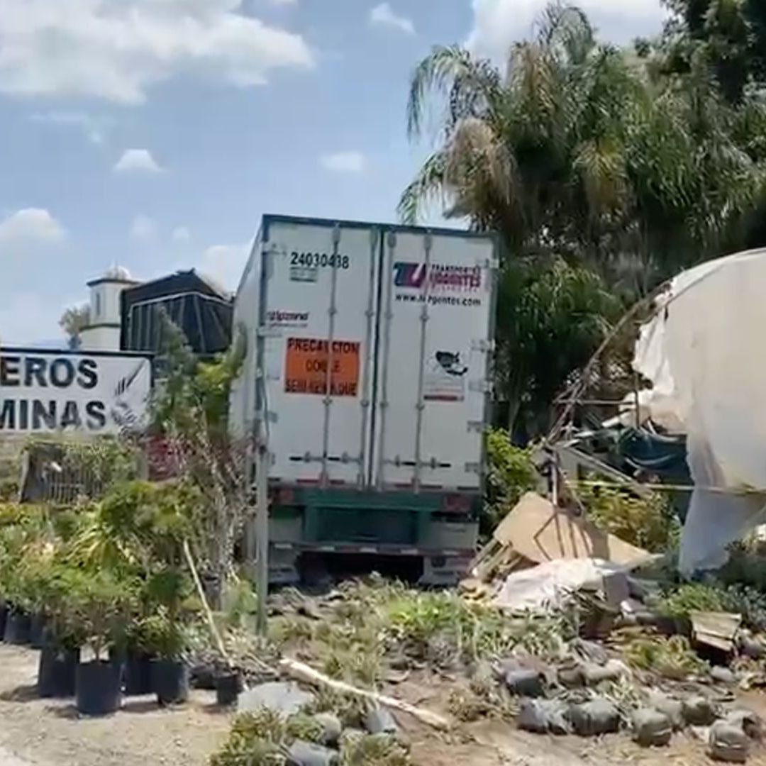 Camión impacta vivero