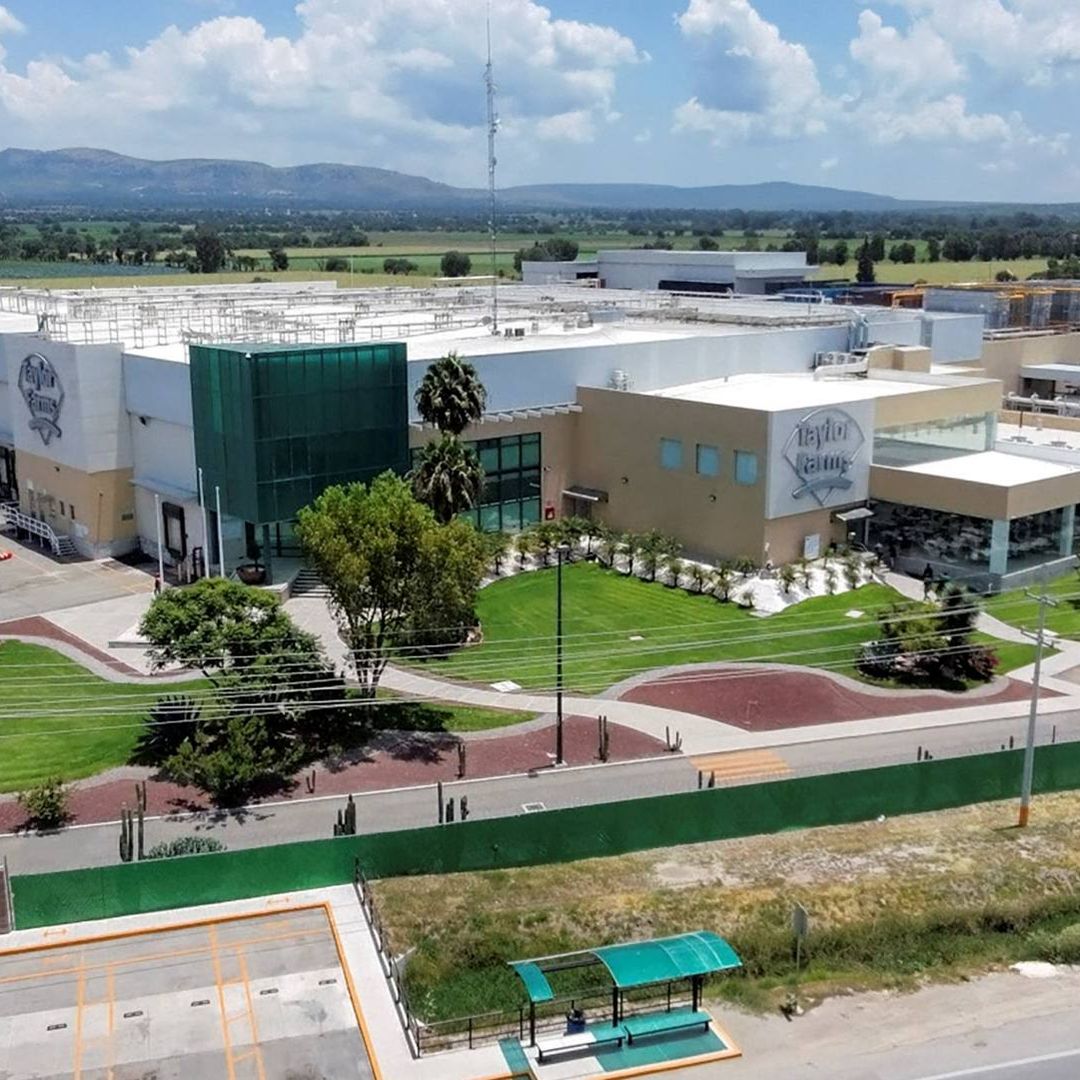 Instalaciones de Taylor Farms México donde se detectó una muestra que dio falso positivo. Foto: Reuters
