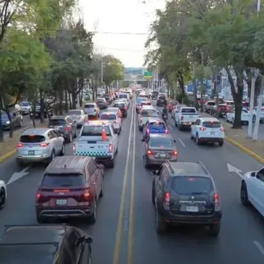 Avenida automóviles