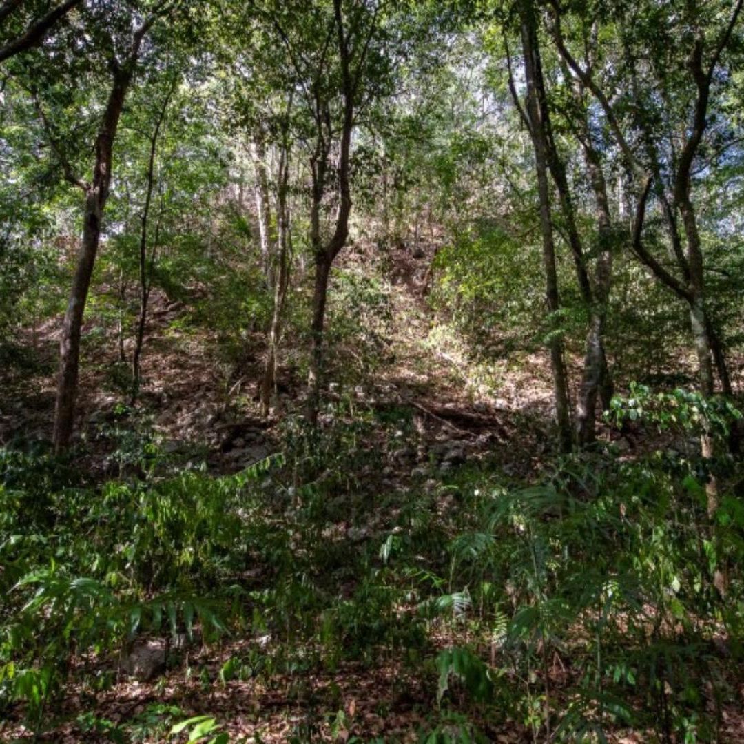 El Yesal, ciudad maya en Campeche