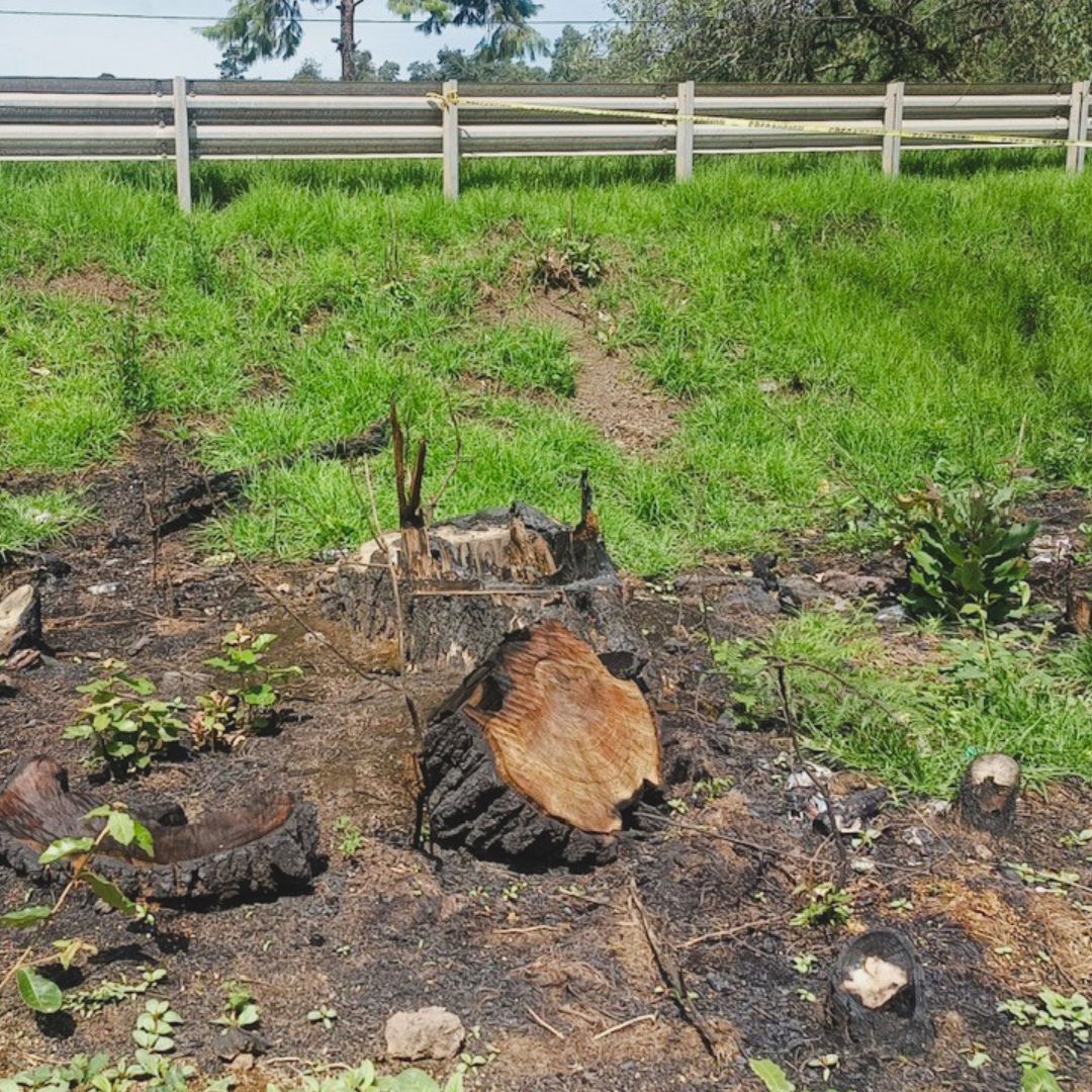 Clausurada Obra Construcción Lotes sin Permisos Profepa Maquixtla Zacatlán Puebla Medio Ambiente