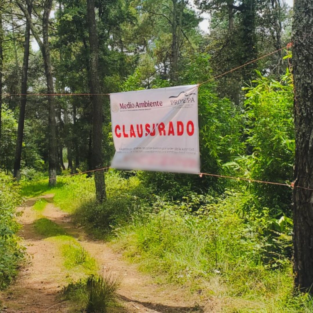 Clausura Total Dos Predios Proyecto Inmobiliario Ilegal Maquixtla Zacatlán Sierra Norte Puebla