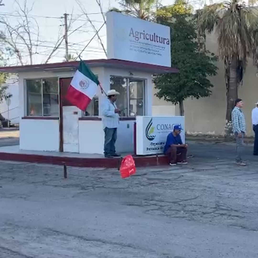 Productores de Trigo Toman Oficinas Federales en Mexicali por Falta de Acuerdos