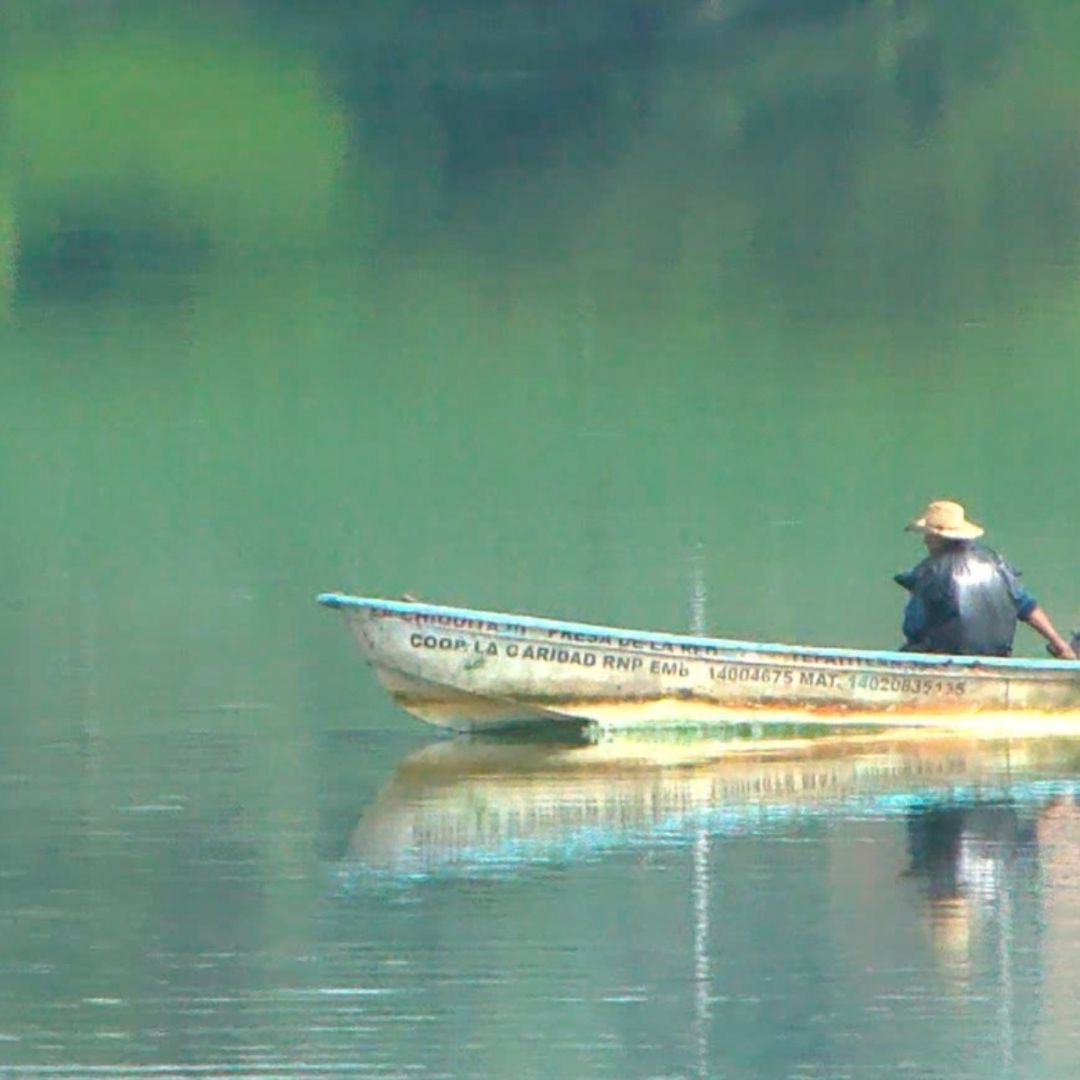 Contaminación en cuerpo de agua de Jalisco