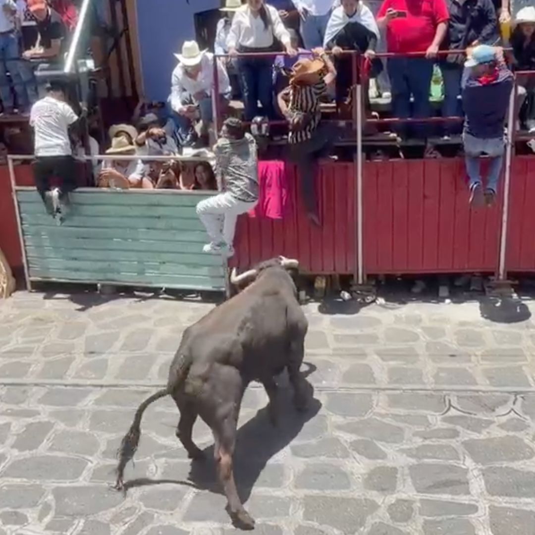 Una Persona Termina Cornada Durante 'La Capea de Toros' en Xico, Veracruz