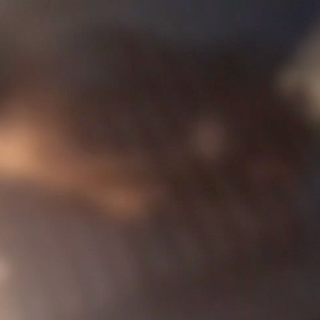 Investigan Caso de Crueldad Animal tras Difusión de Video en Matamoros