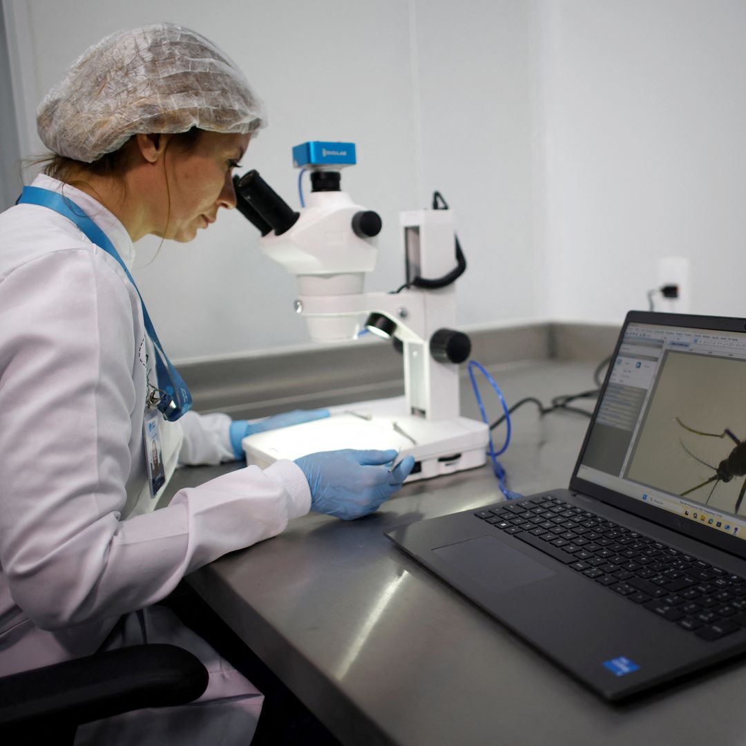 Un trabajador analiza al microscopio un mosquito